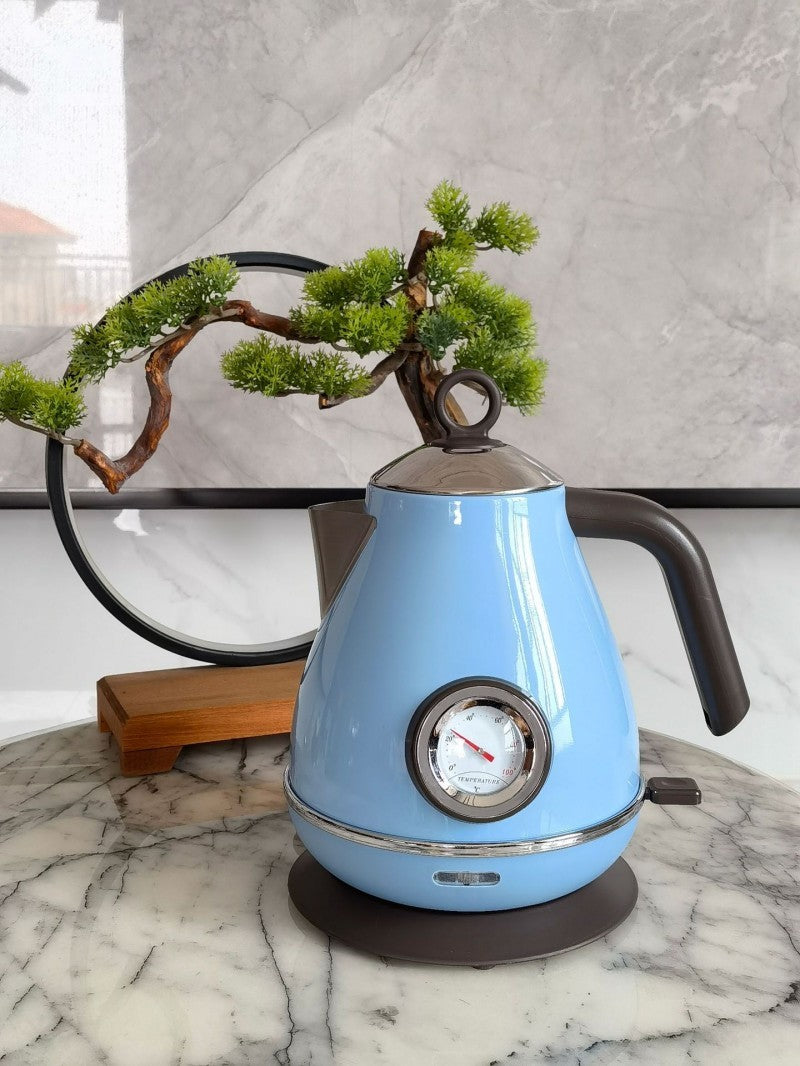 Bouilloire électrique rapidité inox 1800W blue ciel