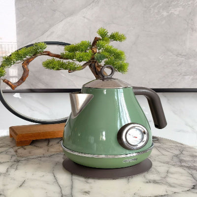 Bouilloire électrique rapidité inox 1800W vert olive
